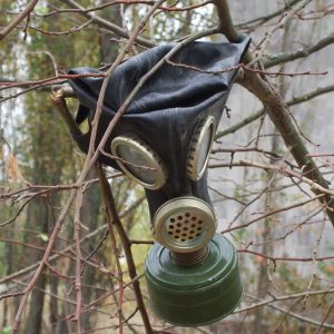 About Chernobyl-environment