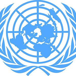 Working with the UN