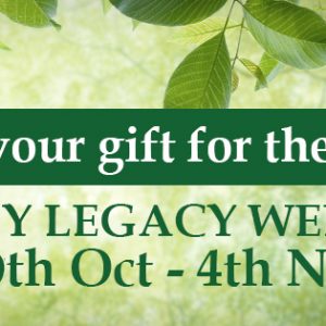 My Legacy Week 18