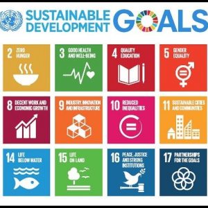 Comhlamh Sustainable Development Goals