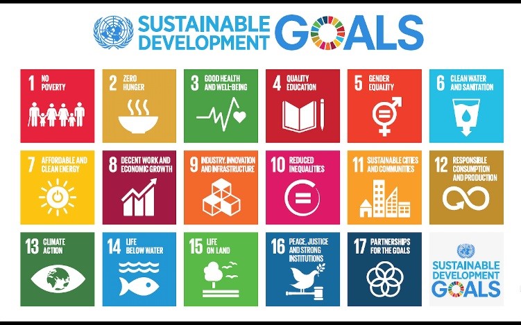 Comhlamh Sustainable Development Goals